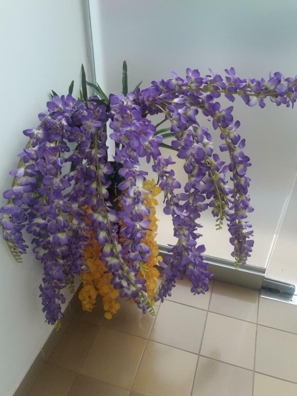 Hotel Casa Jardin Asuncion Exteriör bild